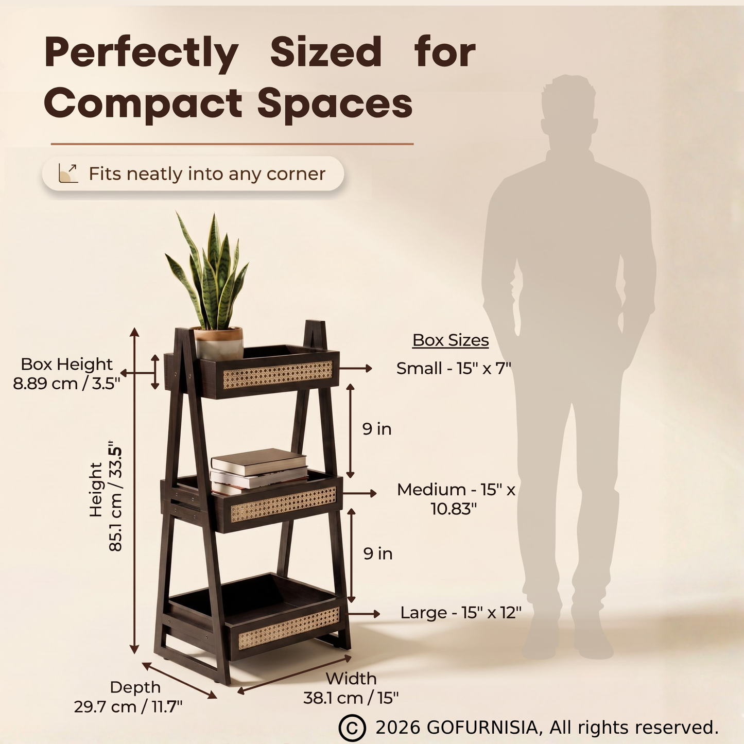 Chandpole — Ladder Shelf